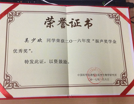 Award